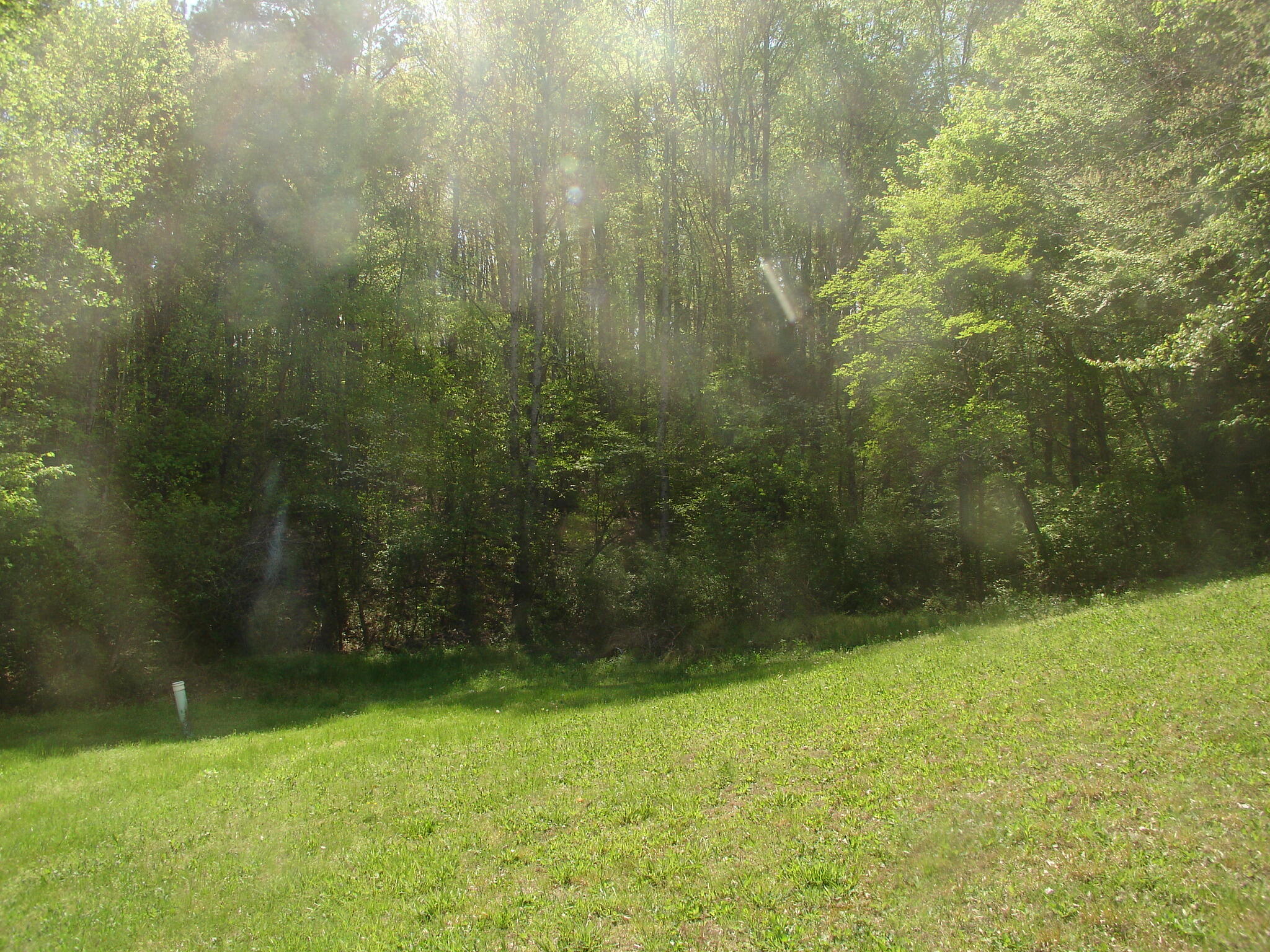 19.76-ac Ridge Road Pigeon Forge, TN 37863 - Photo 10 of 10 DSC02049