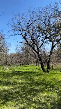 $115,000 | Tbd Port O Call Drive, Runaway Bay, TX 76426