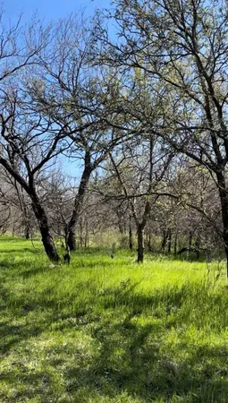 $115,000 | Tbd Port O Call Drive, Runaway Bay, TX 76426