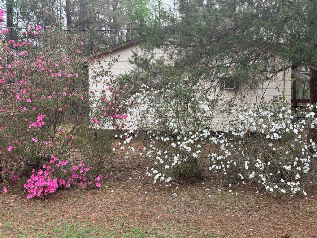 5435 Southwest 204th Avenue Dunnellon, FL 34431 - Photo 2 of 32