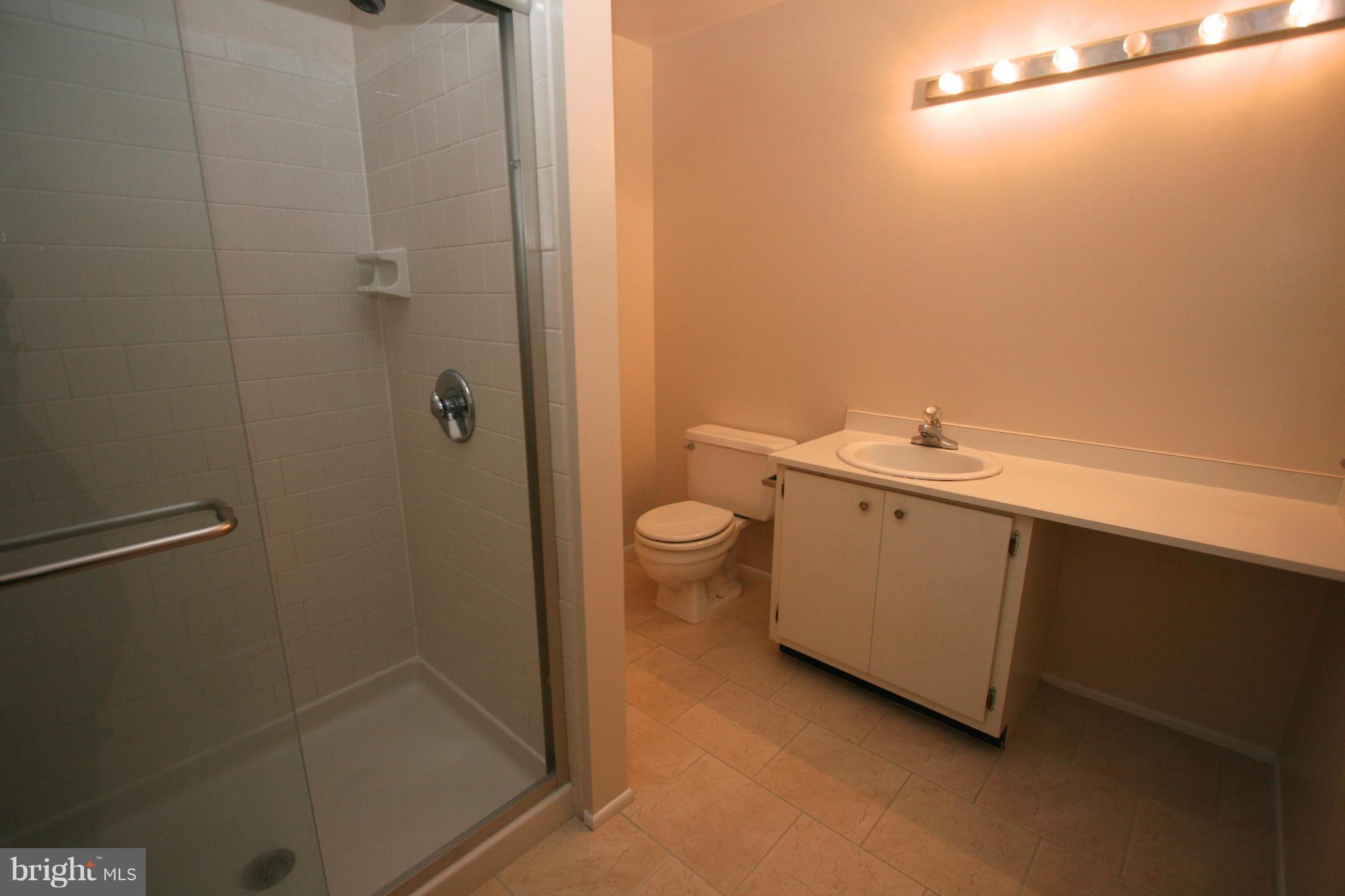 9716 Early Spring Way Columbia, MD 21046 - Photo 11 of 20 Bath (Master)