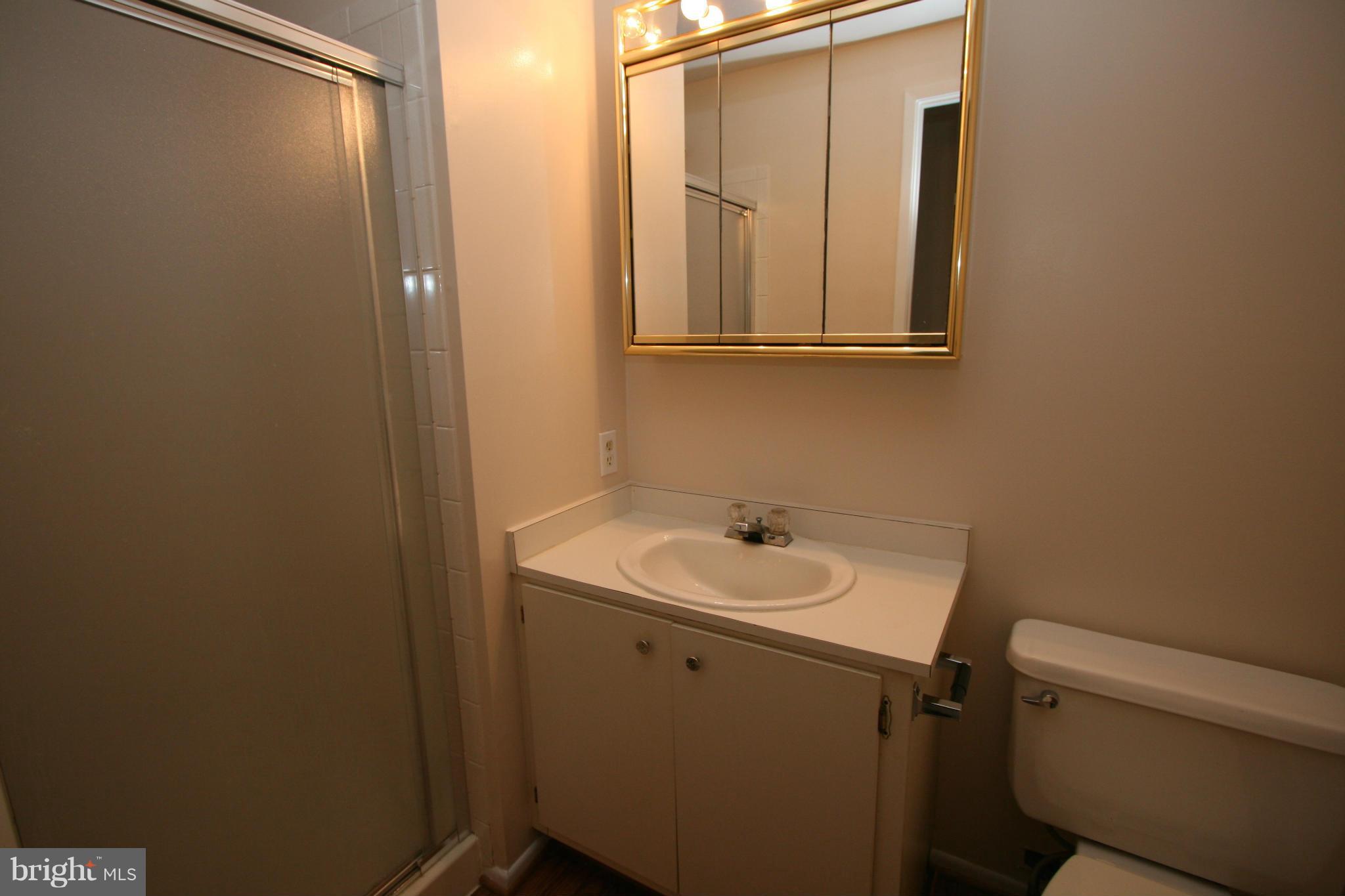 9716 Early Spring Way Columbia, MD 21046 - Photo 16 of 20 Bath
