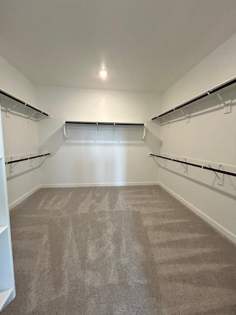 2204 Greenbelt Road Celina, TX 75009 - Photo 5 of 9 Spacious walk-in closet featuring light-toned carpet flooring, white walls, and built-in white shelving with black rods