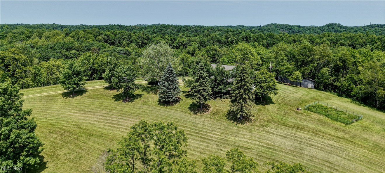 48846 Cain Ridge Road Clarington, OH 43915 - Photo 44 of 45 Aerial view of a heavily wooded area