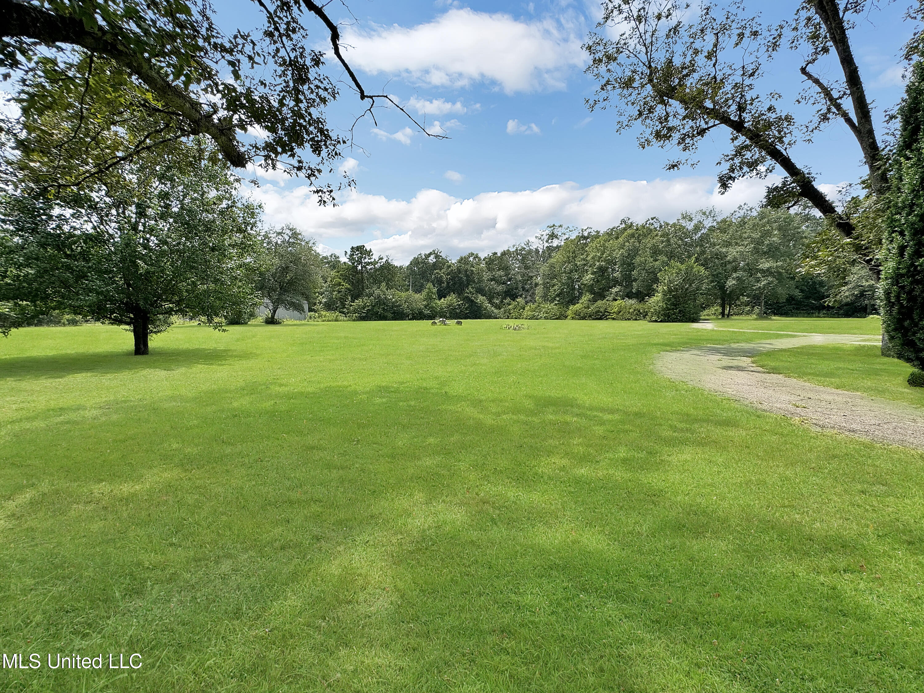 19378 Bell Creek Road Perkinston, MS 39573 - Photo 8 of 58 yard