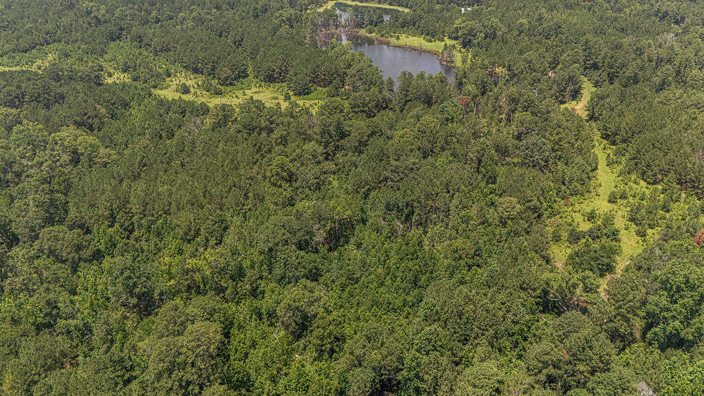 541 Key Road Modoc, SC 29838 - Photo 7 of 27