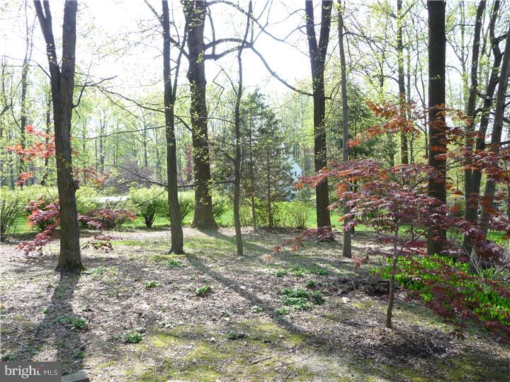 View in Back