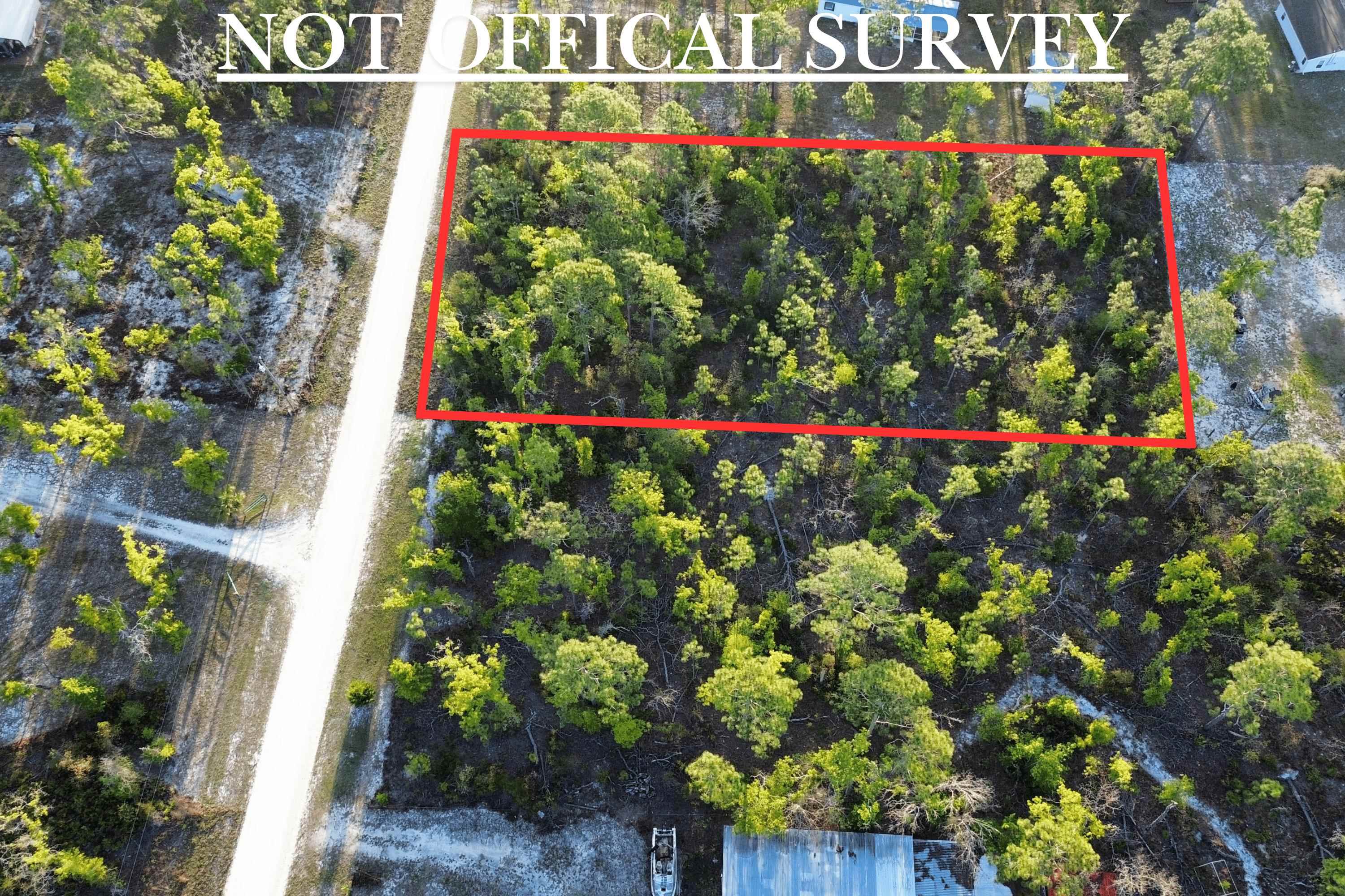 Lot 204 Post Oak Road Perry, FL 32348 - Photo 8 of 30 Gallery Image 8