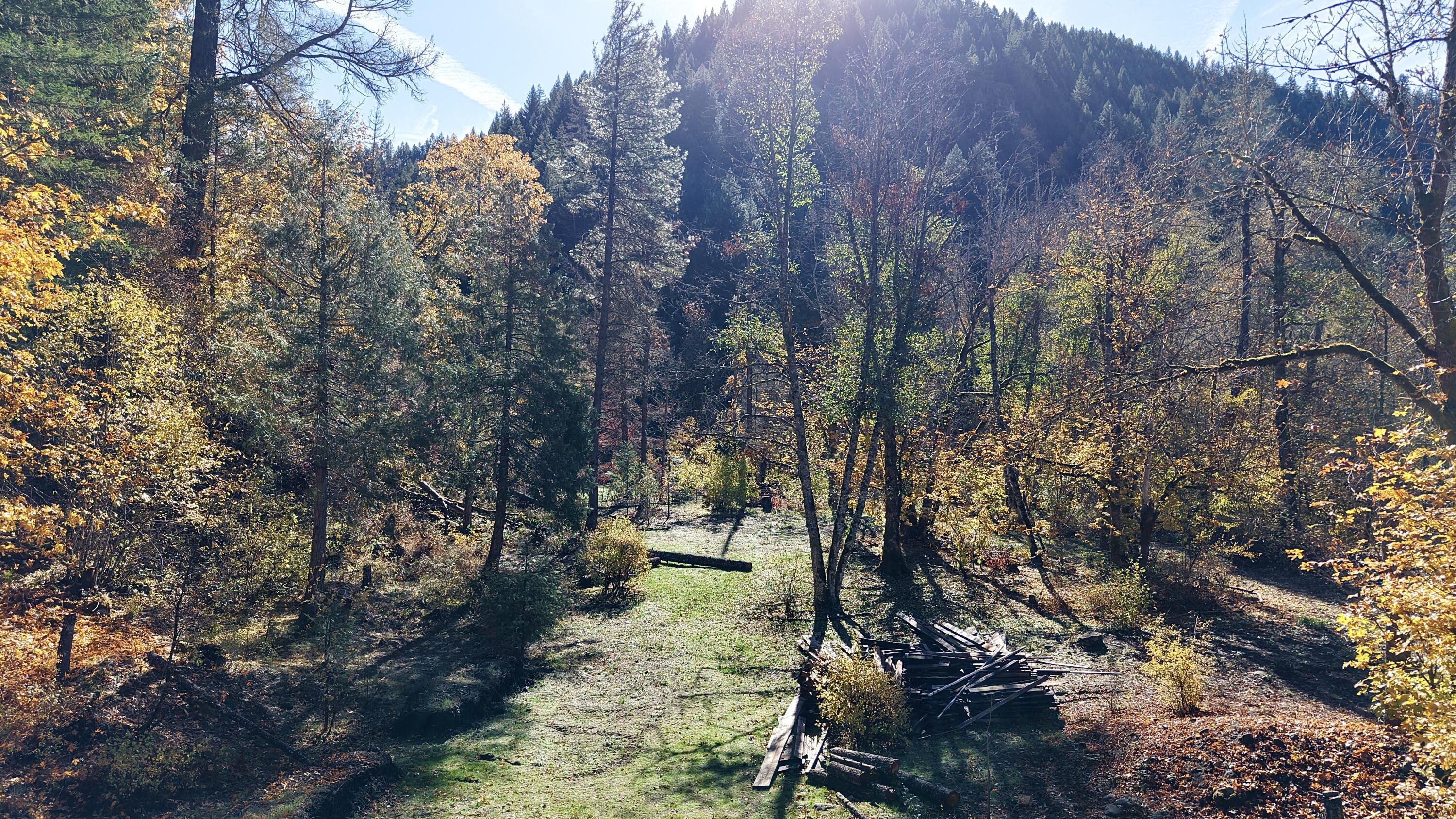 52 Dodes Creek Road Trail, OR 97541 - Photo 83 of 110 Acreage