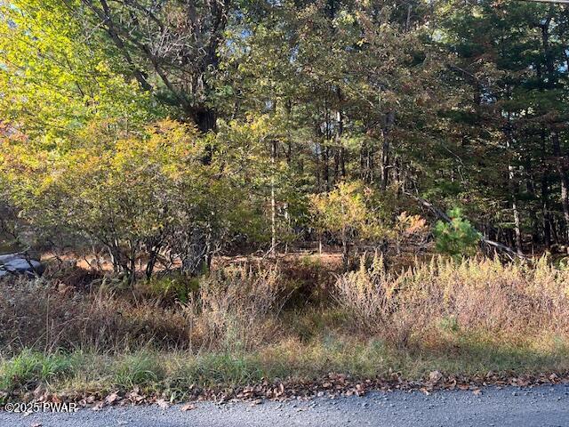 Lot 247 Squirrel Road Dingmans Ferry, PA 18328 - Photo 2 of 10