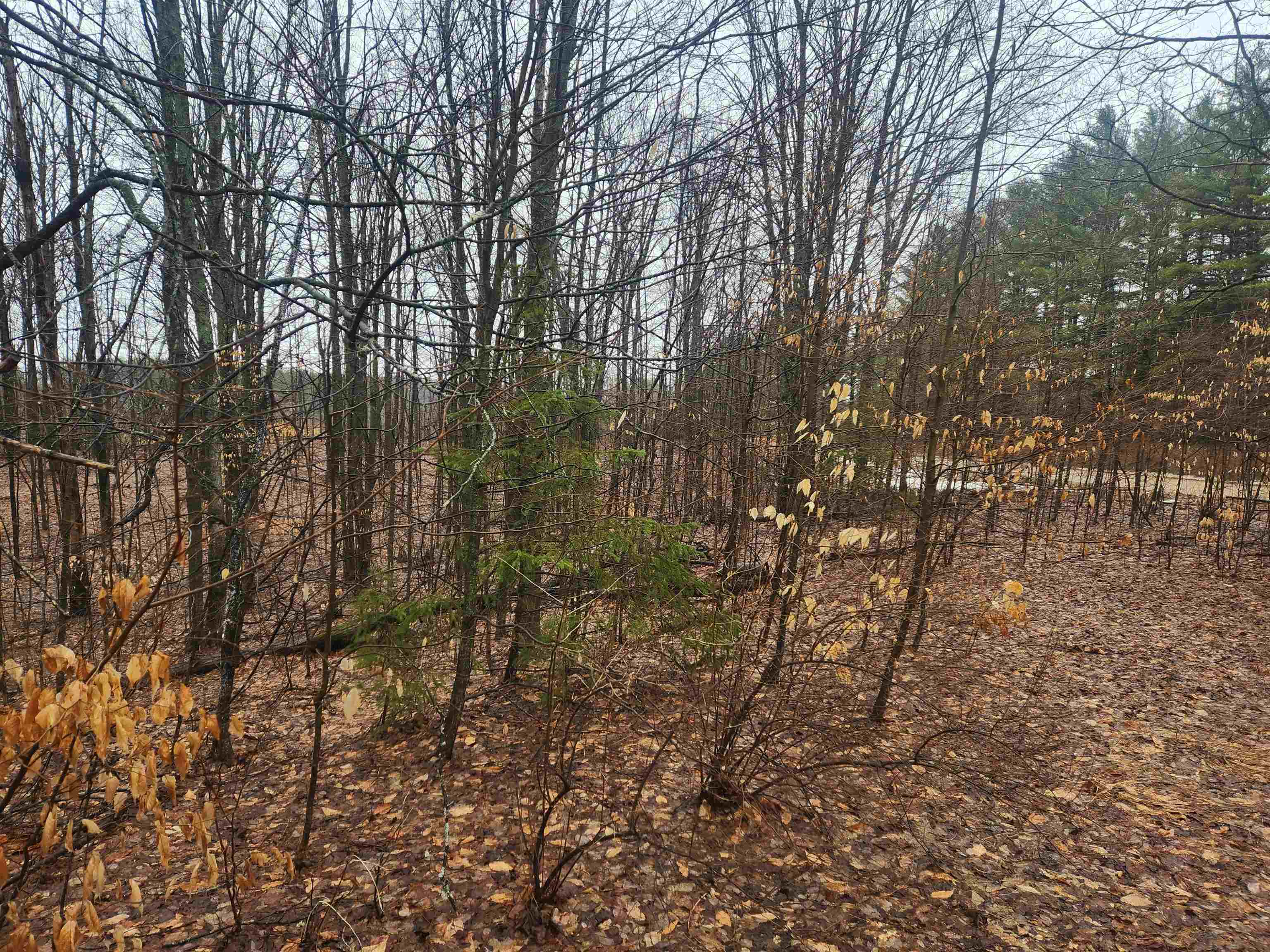 9226 Donathan Road Fife Lake, MI 49633 - Photo 18 of 18 Gallery Image 18