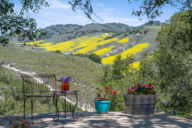 a view of a swimming pool with a garden