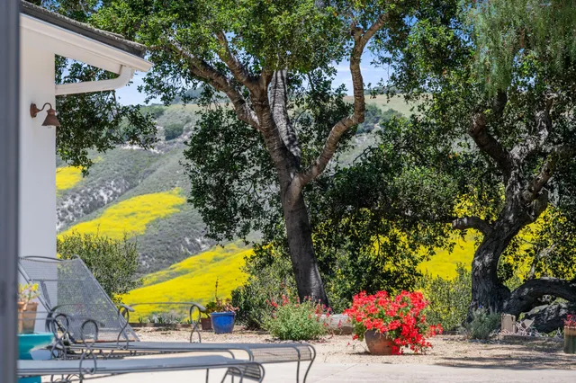 a view of a chairs and table in the patio