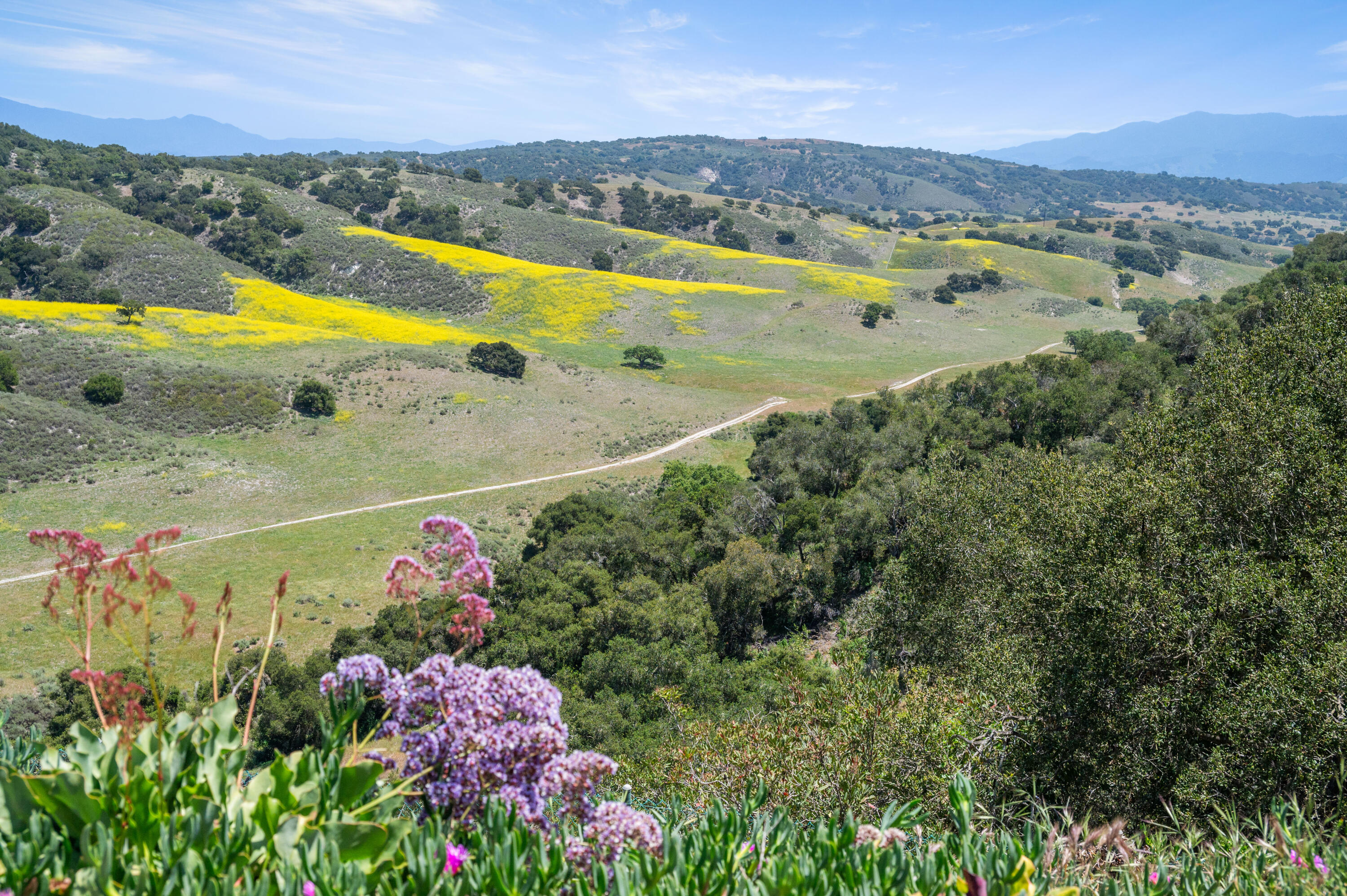 760 Falcon Ridge Lane Buellton, CA 93427 - Photo 33 of 51 a view of a city