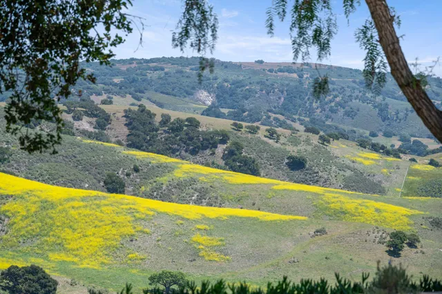 a view of a backyard with swimming pool