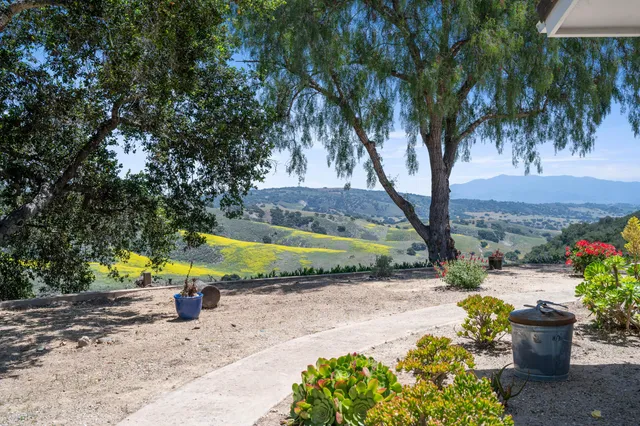 a view of a street with a tree