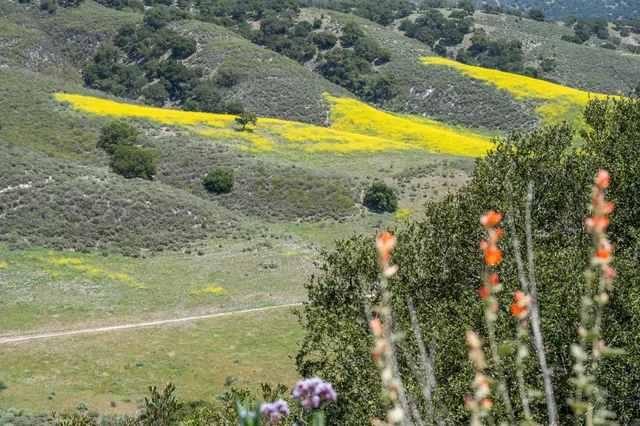 a view of a city with mountains in the background