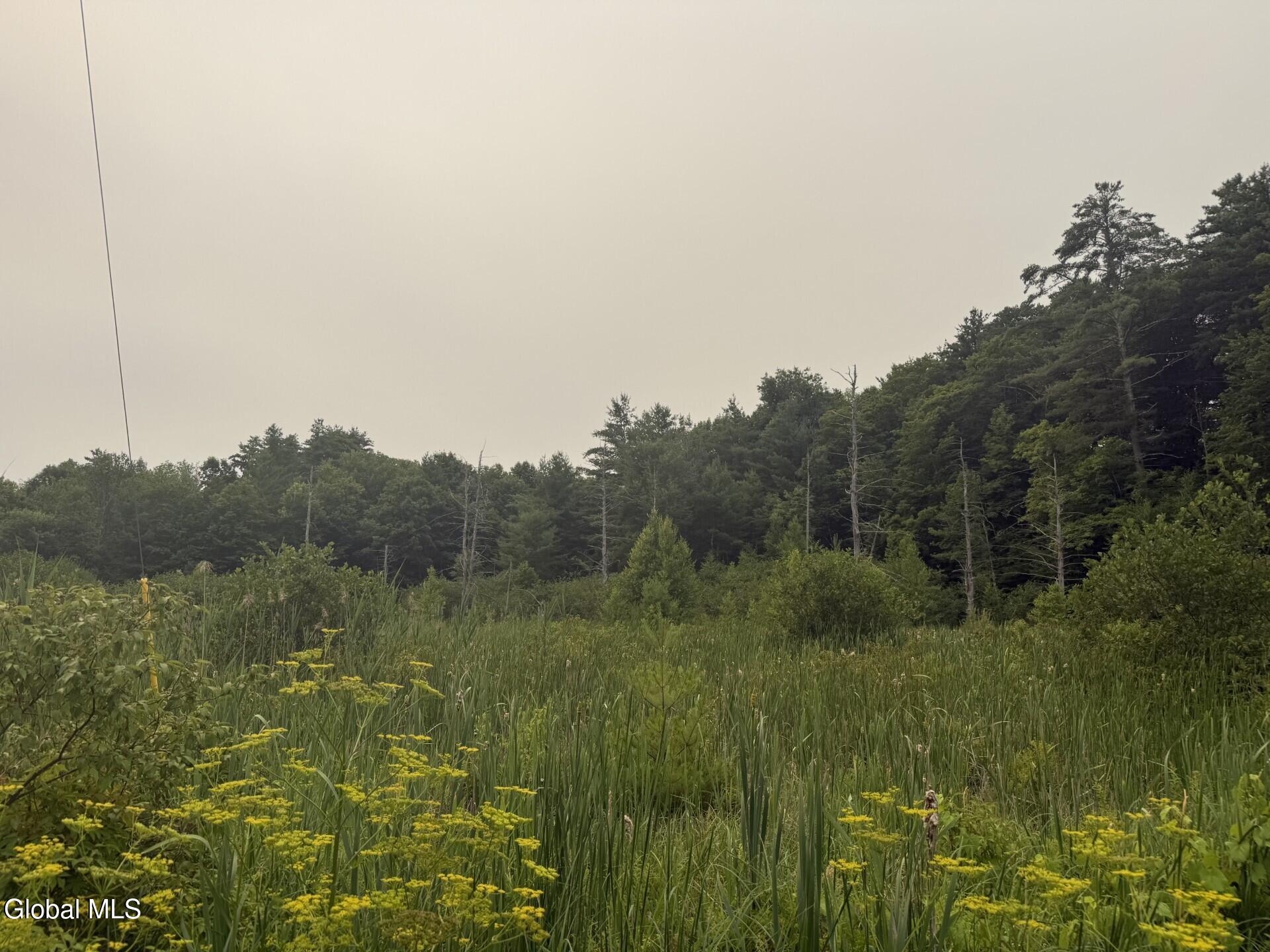 276 Tanner Hill Road Whitehall, NY 12887 - Photo 4 of 7 5