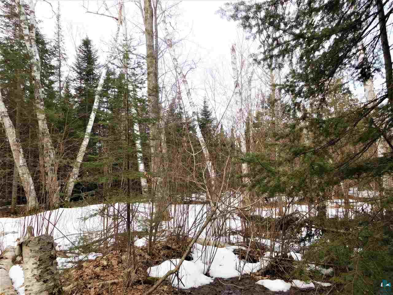 89100 Bark Point Road Herbster, WI 54844 - Photo 36 of 41 Gallery Image 36
