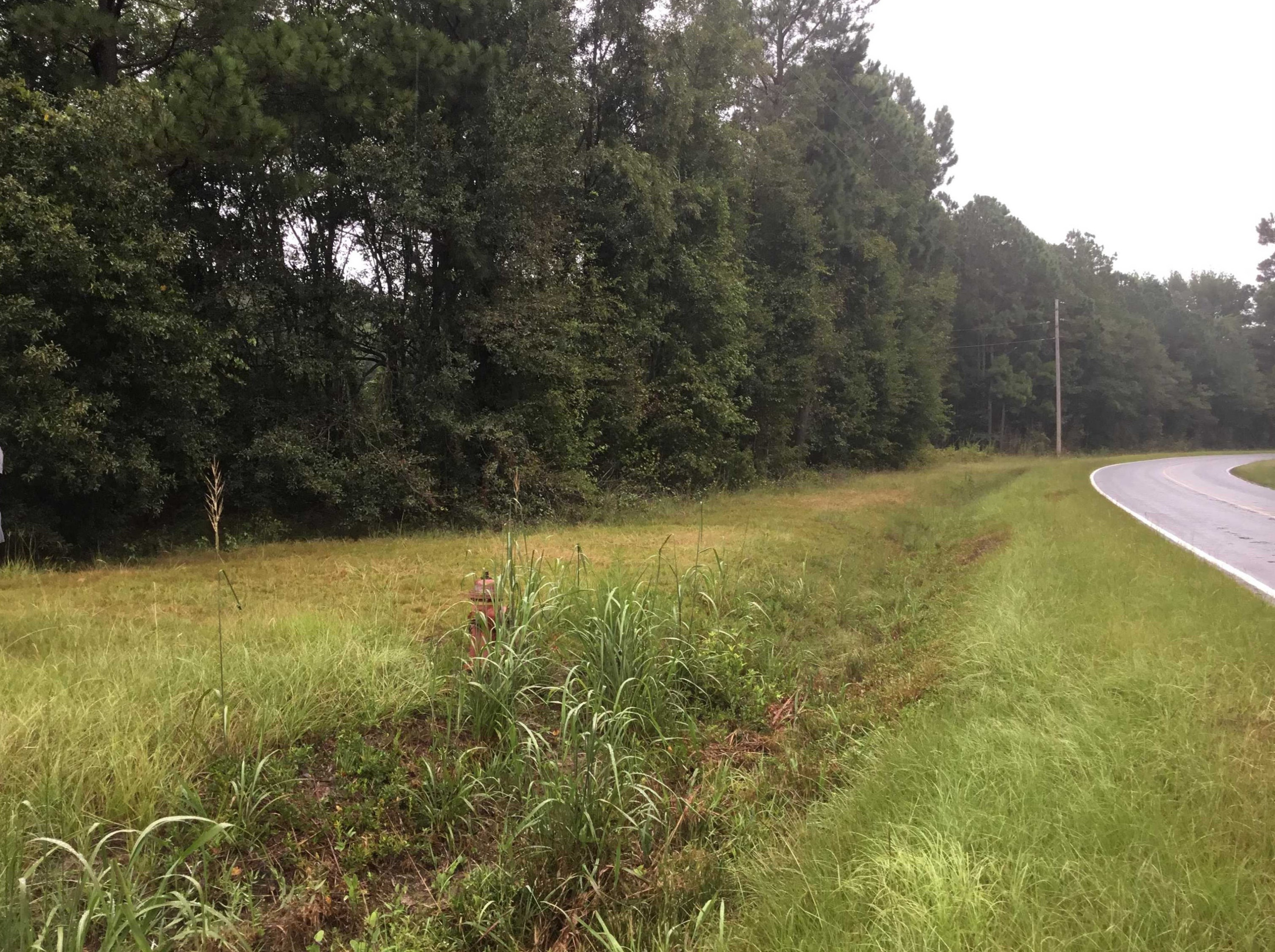 0 5 Points Road Benson, NC 27504 - Photo 4 of 6 Photo 4