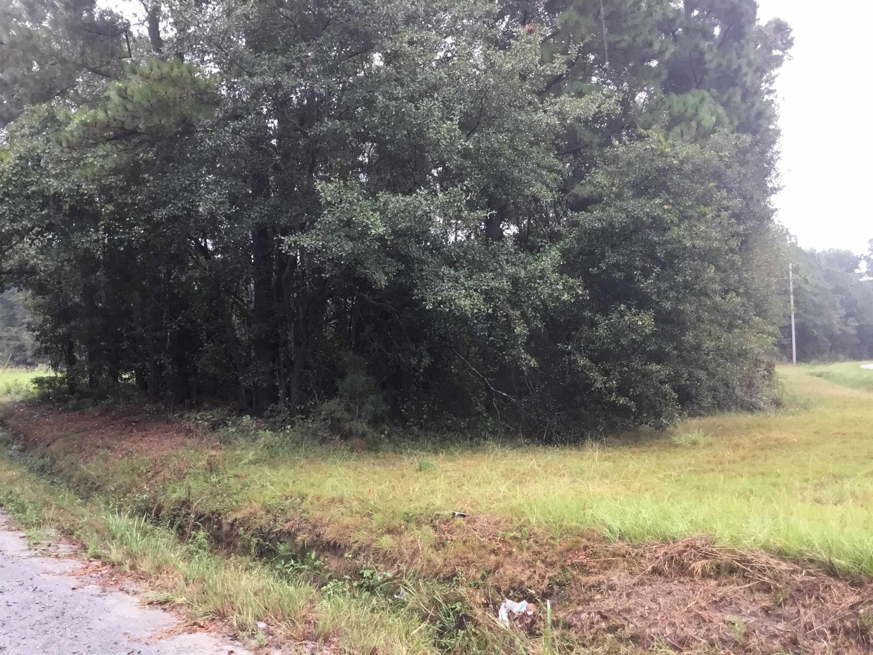 0 5 Points Road Benson, NC 27504 - Photo 5 of 6 Photo 5