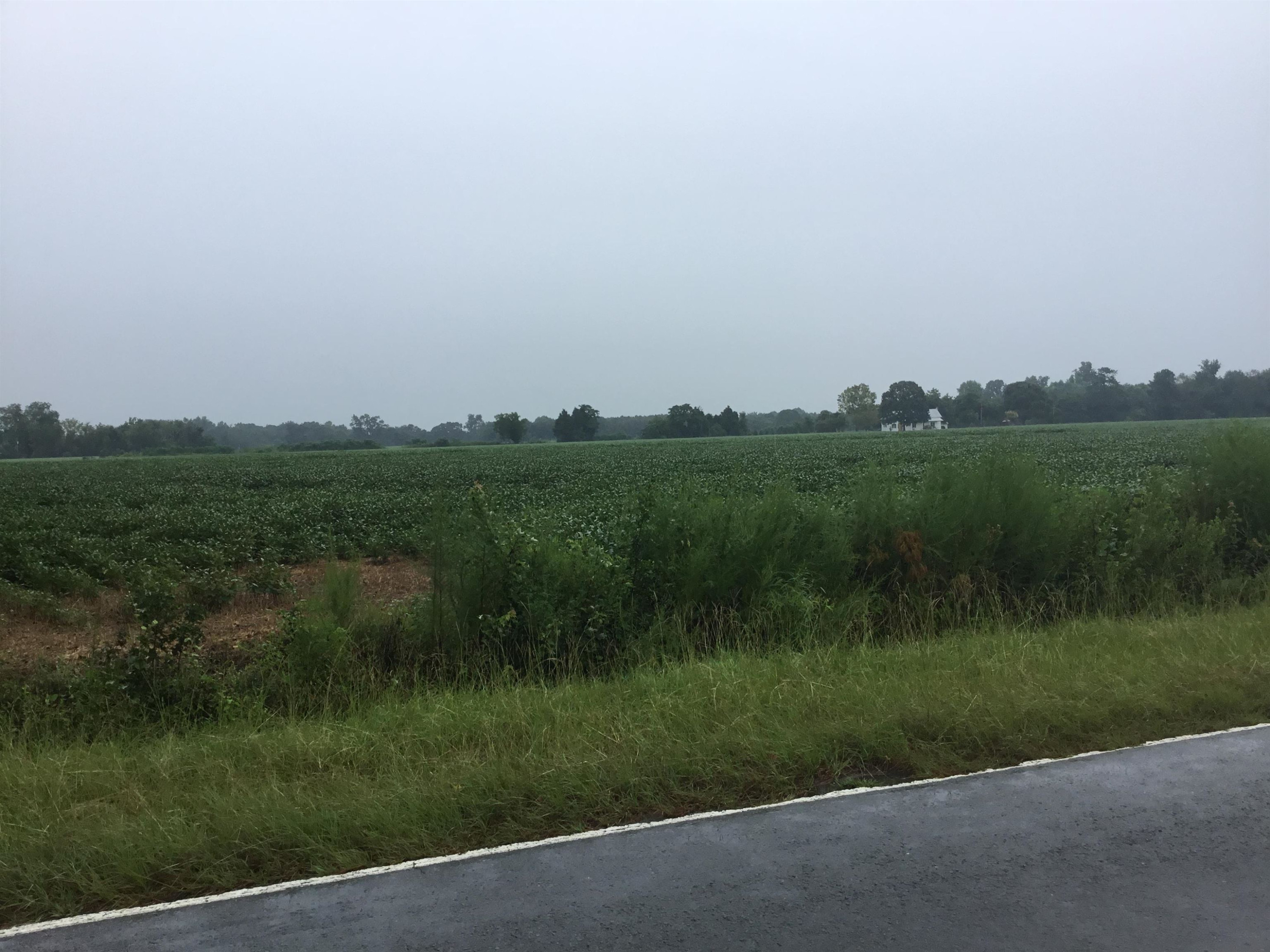 0 5 Points Road Benson, NC 27504 - Photo 6 of 6 Photo 6