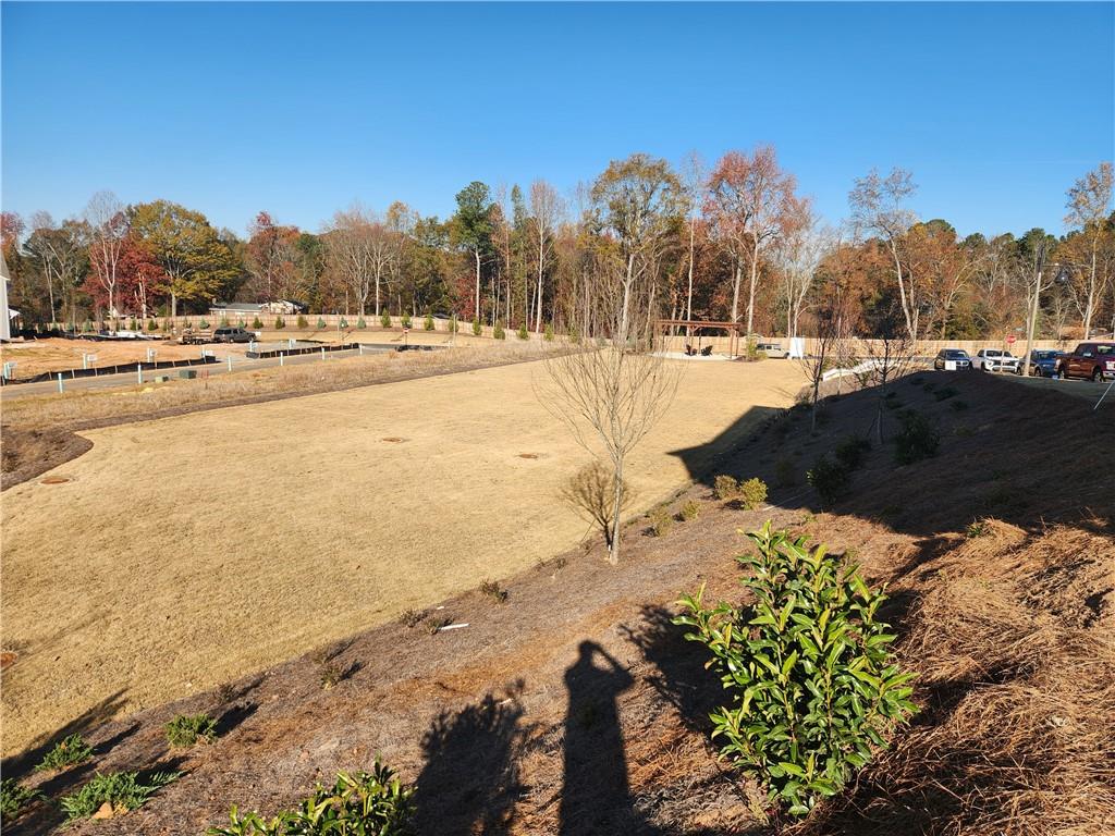 221 Brownlee Road Woodstock, GA 30188 - Photo 29 of 33