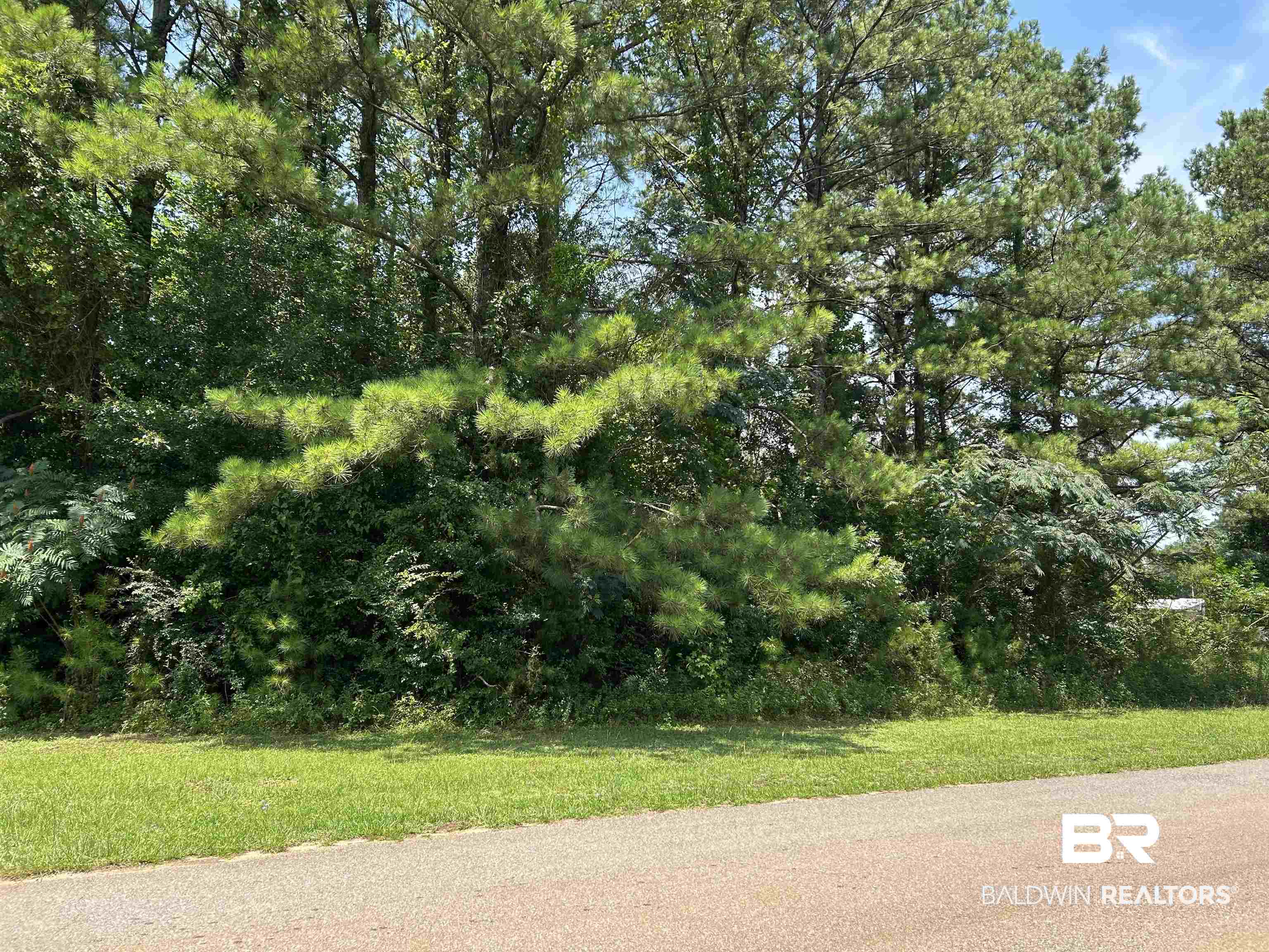 0 Factory Street Evergreen, AL 36401 - Photo 9 of 9 View of road