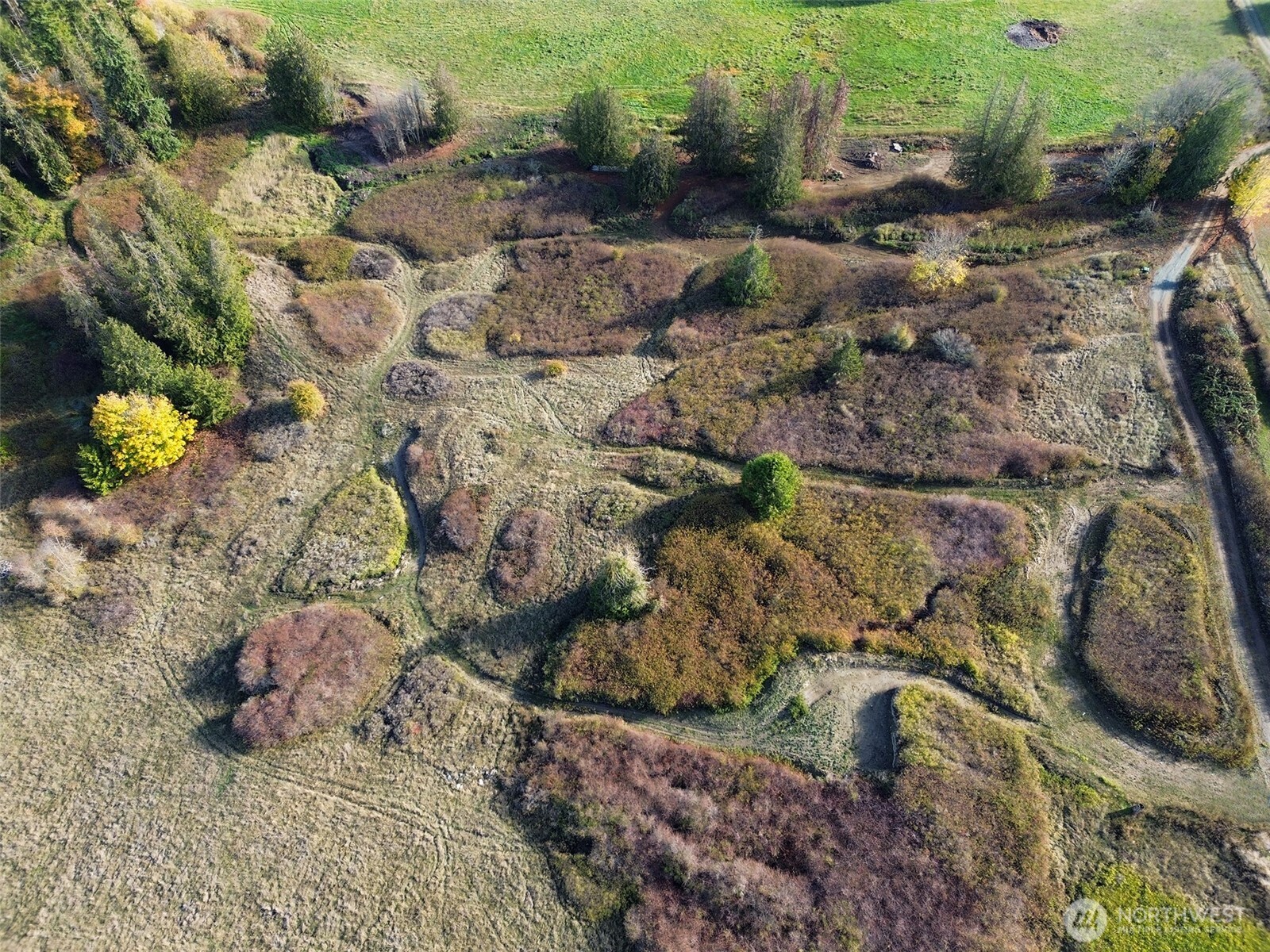 577 Simdars Road Sequim, WA 98382 - Photo 12 of 18