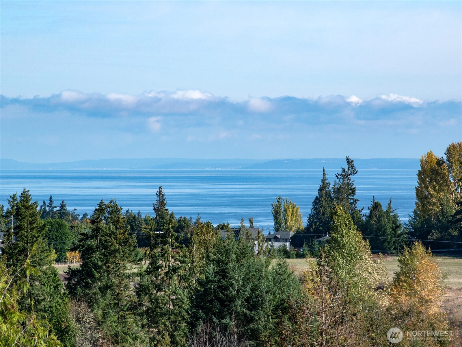 577 Simdars Road Sequim, WA 98382 - Photo 16 of 18