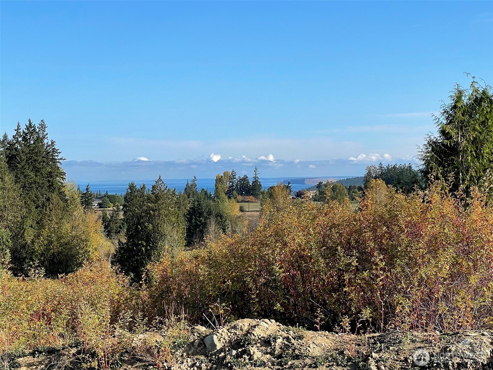 577 Simdars Road Sequim, WA 98382 - Photo 10 of 18