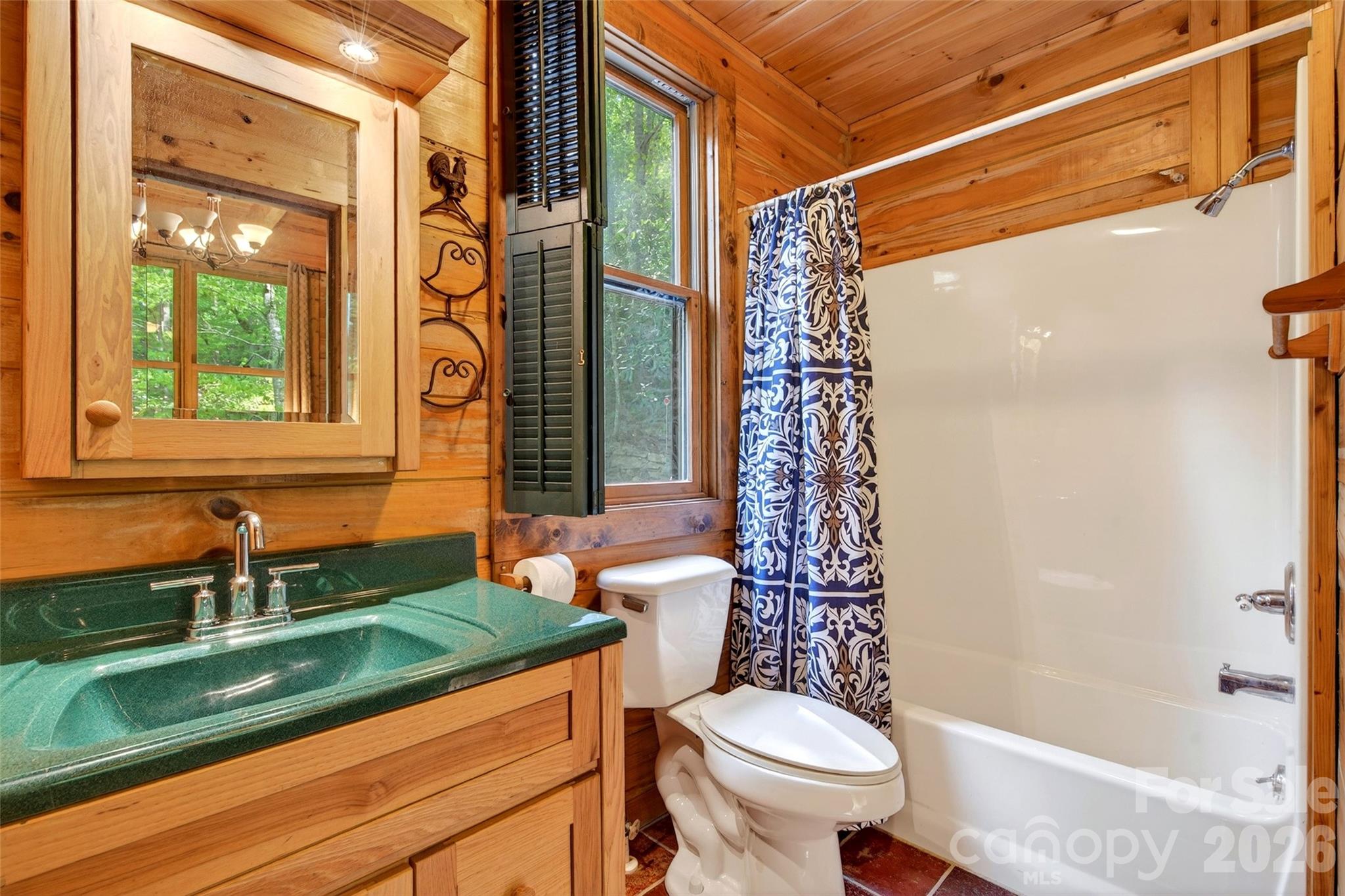 102 Frist Road Black Mountain, NC 28711 - Photo 44 of 47