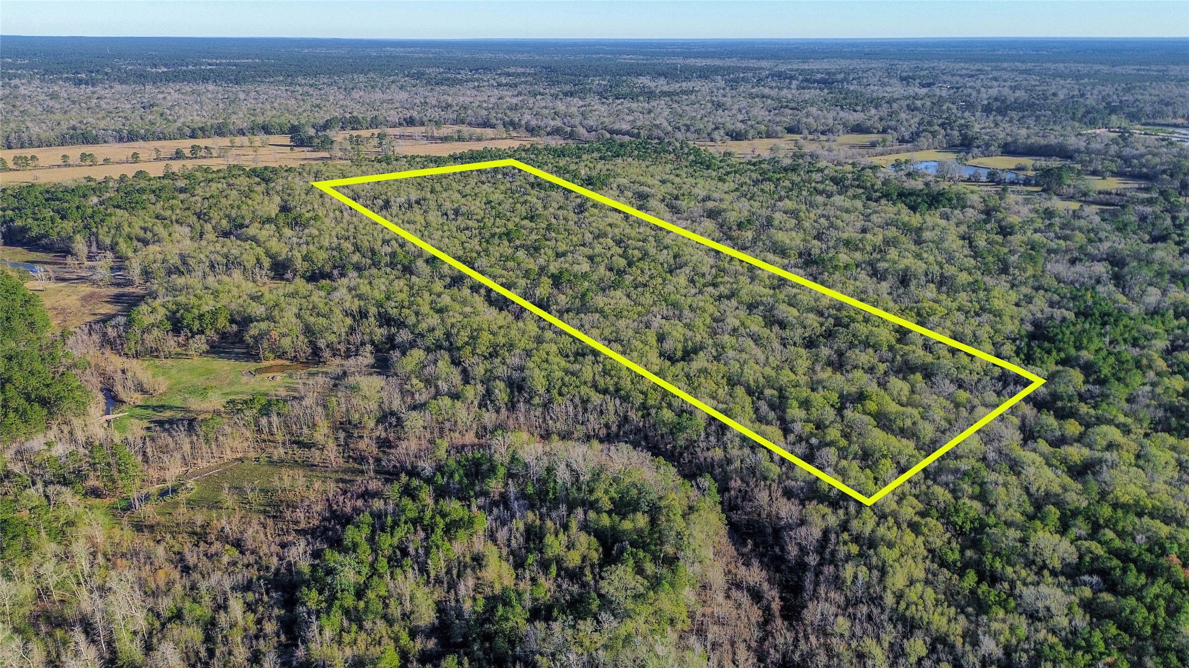 a view of a backyard with plants and lake view