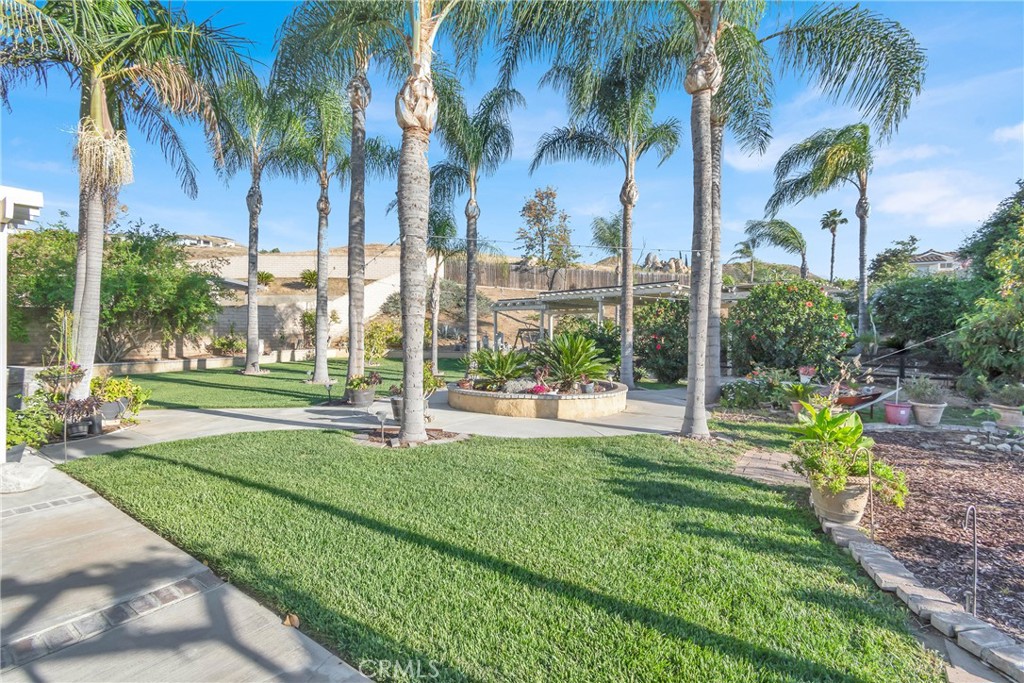 3350 May Court Riverside, CA 92503 - Photo 43 of 55 a view of a yard and a palm trees