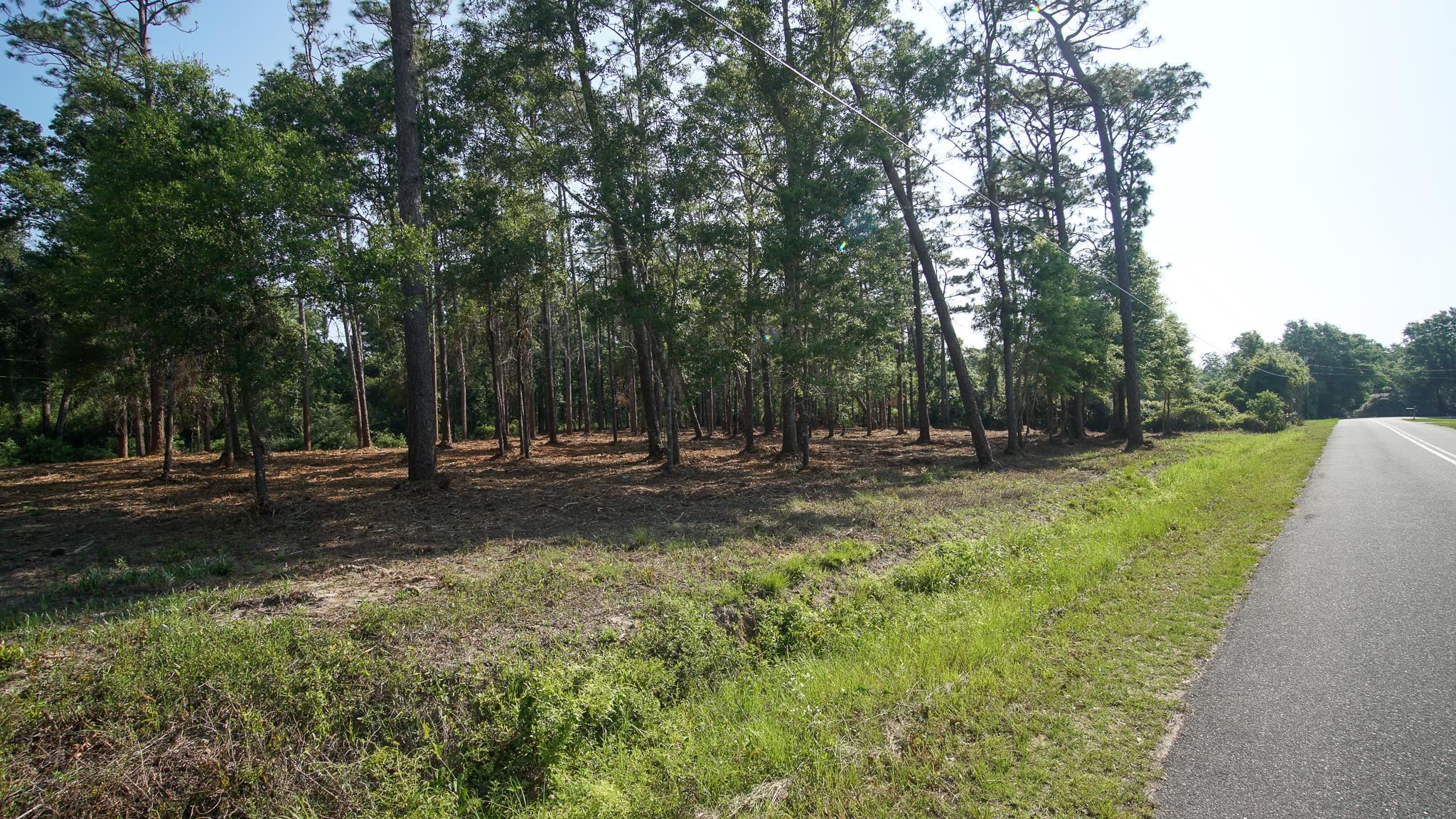 0 Antietam Road Lillian, AL 36549 - Photo 28 of 32