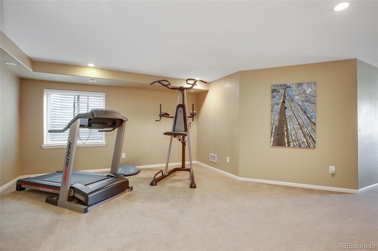 10274 Willowbridge Court Highlands Ranch, CO 80126 - Photo 24 of 35 a view of a room with gym equipment