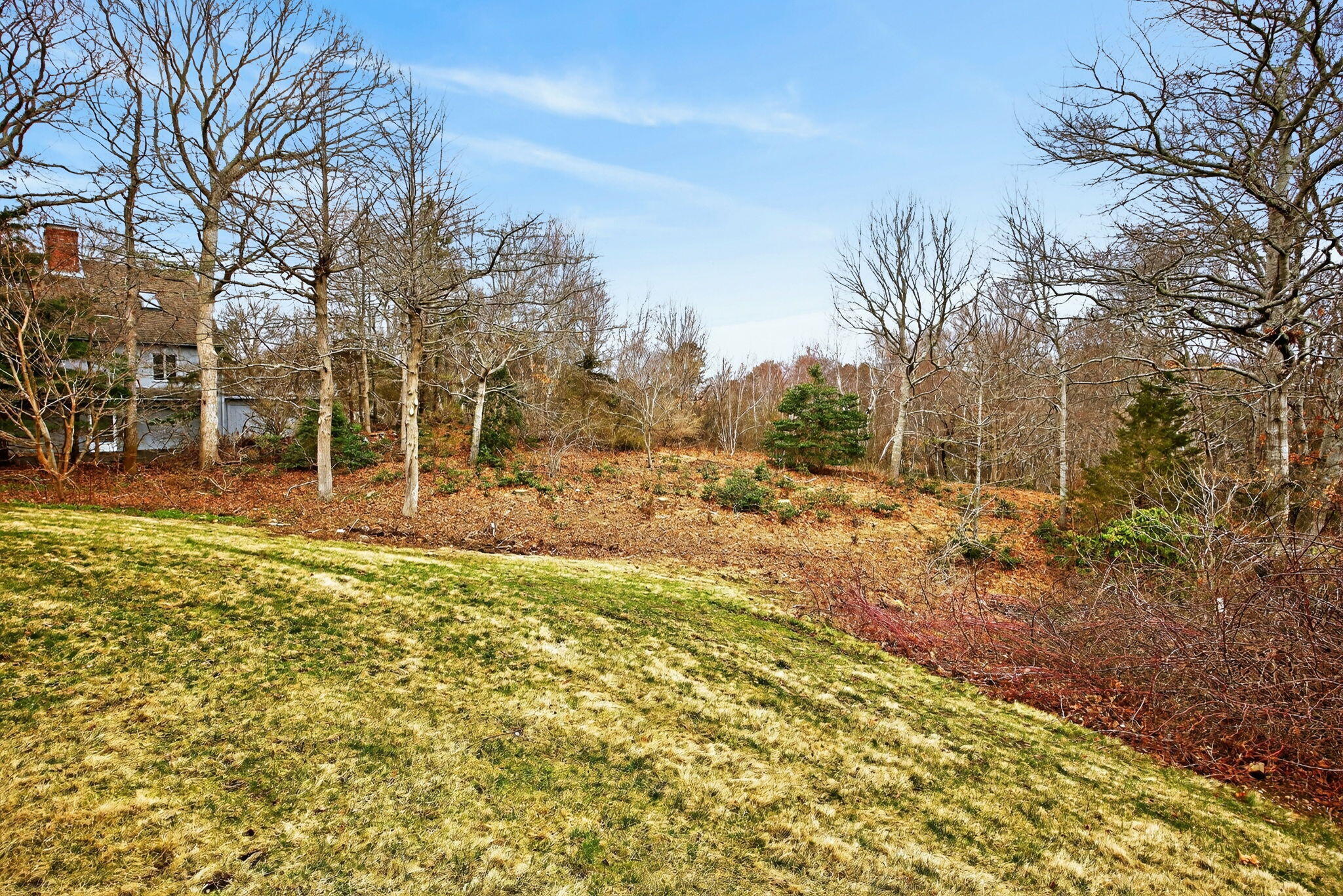 4 Earl Road East Sandwich, MA 02537 - Photo 54 of 63 a view of a yard with trees