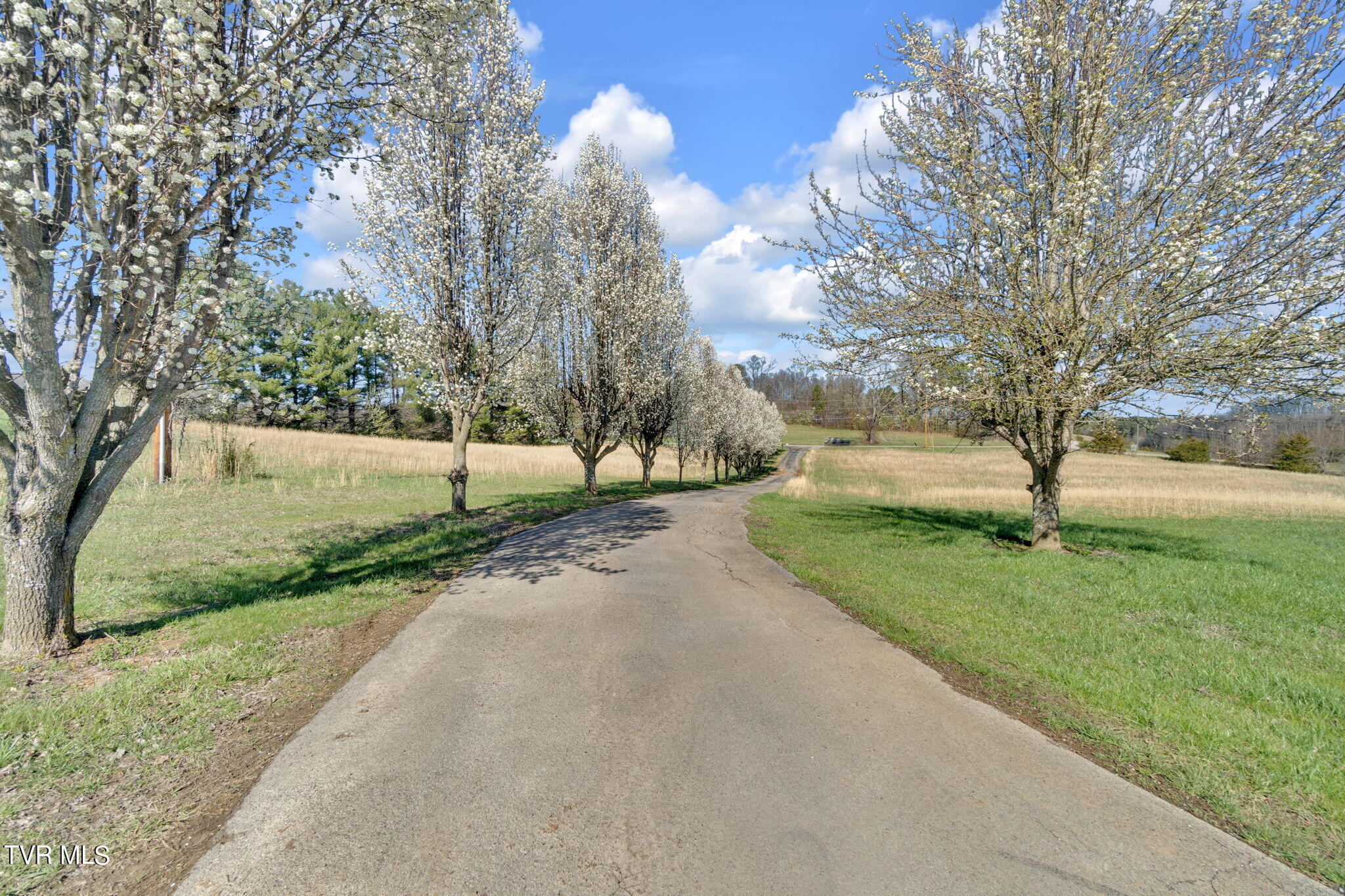 545 McMillan Road Midway, TN 37809 - Photo 57 of 57 58-web-or-mls-JH-Sat 20240316-442