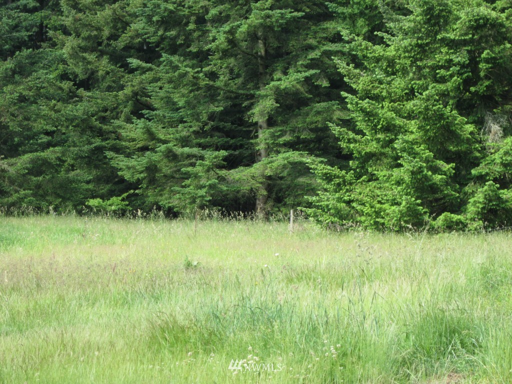 2874 Birch Bay Lynden Road Custer, WA 98240 - Photo 1 of 6