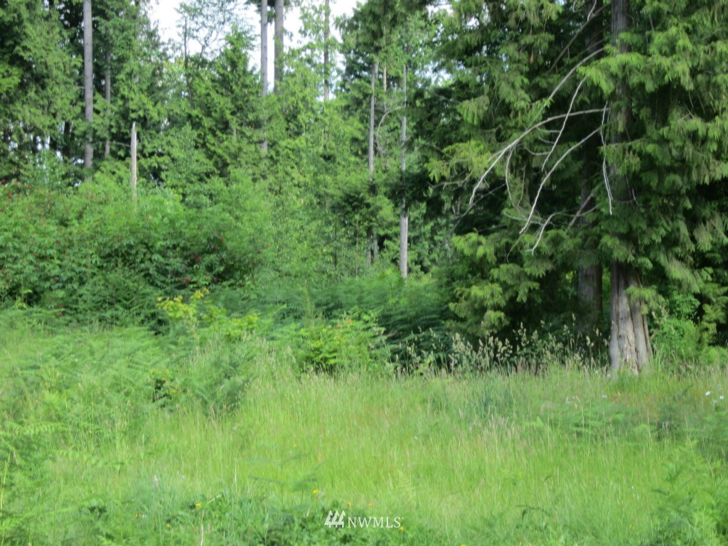 2874 Birch Bay Lynden Road Custer, WA 98240 - Photo 5 of 6
