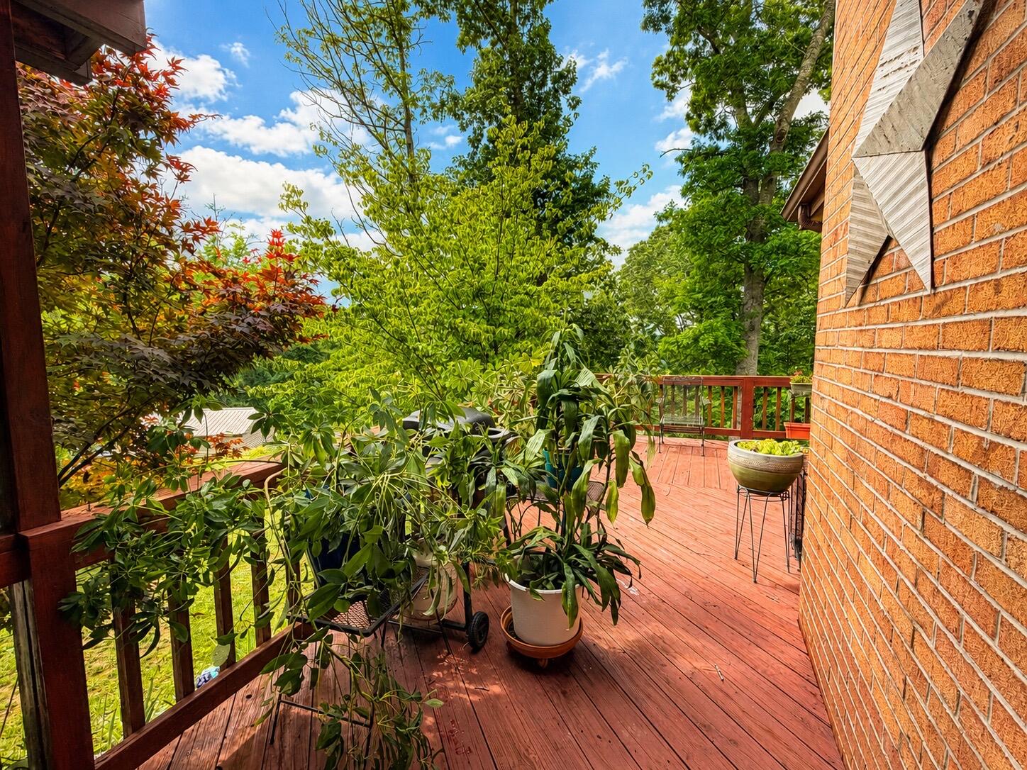 65 Cubbley Road Hot Springs, VA 24445 - Photo 38 of 73 IMG_03A37448-5D3D-44C3-AB16-644F14A36119