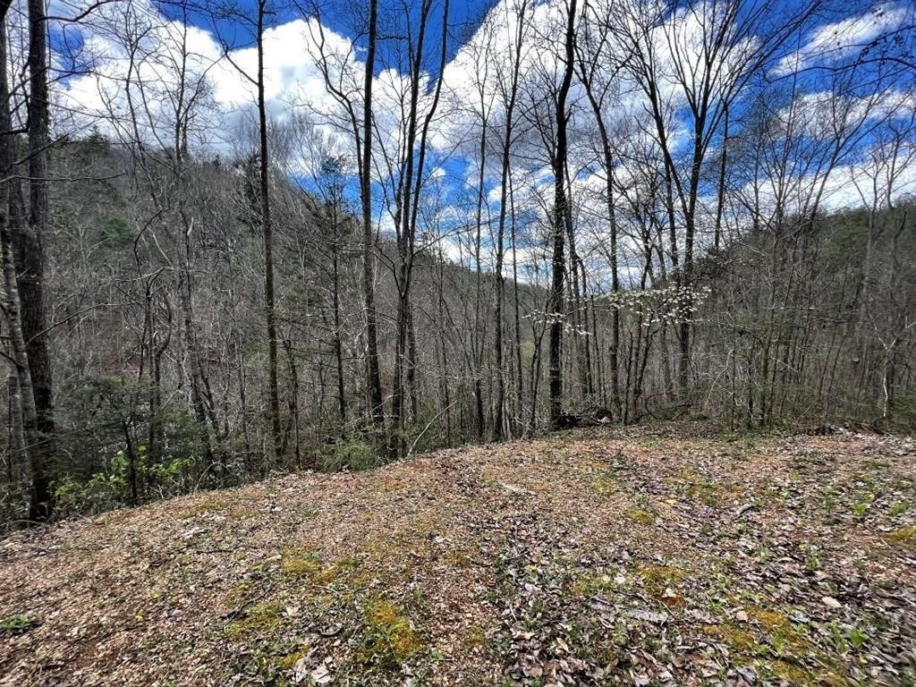 28 Wildcat Ridge Road Sevierville, TN 37862 - Photo 6 of 6