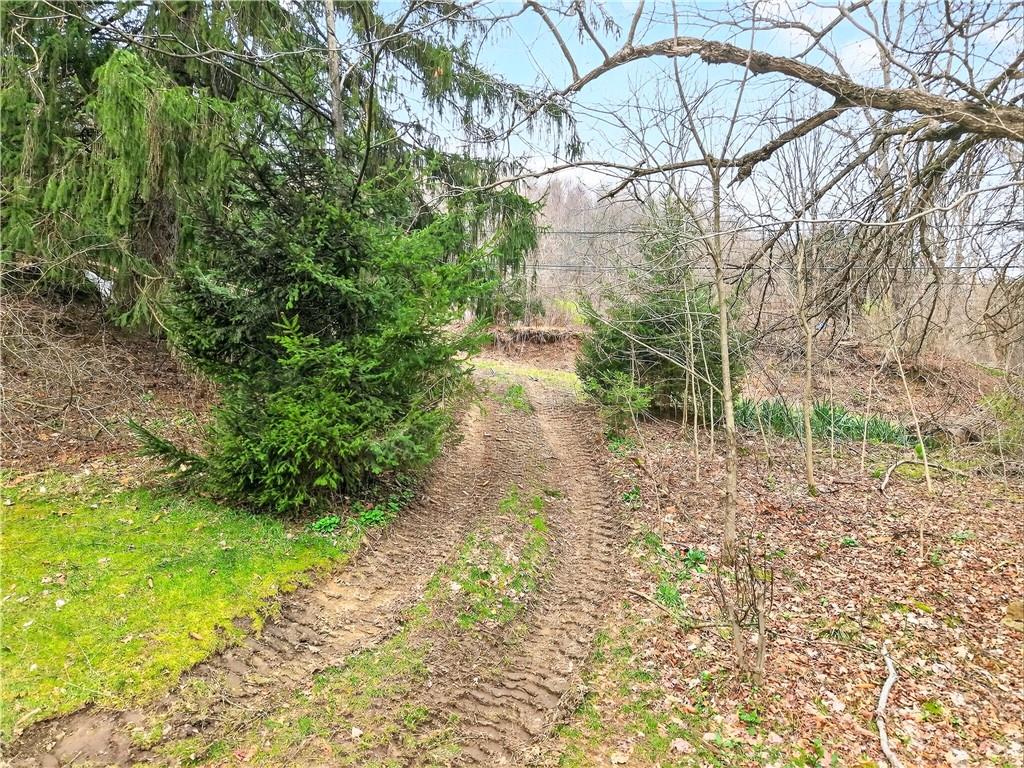 1270 Mudlick Hollow Road Beaver, PA 15009 - Photo 44 of 49 Road leading up to the 9.8 acres.