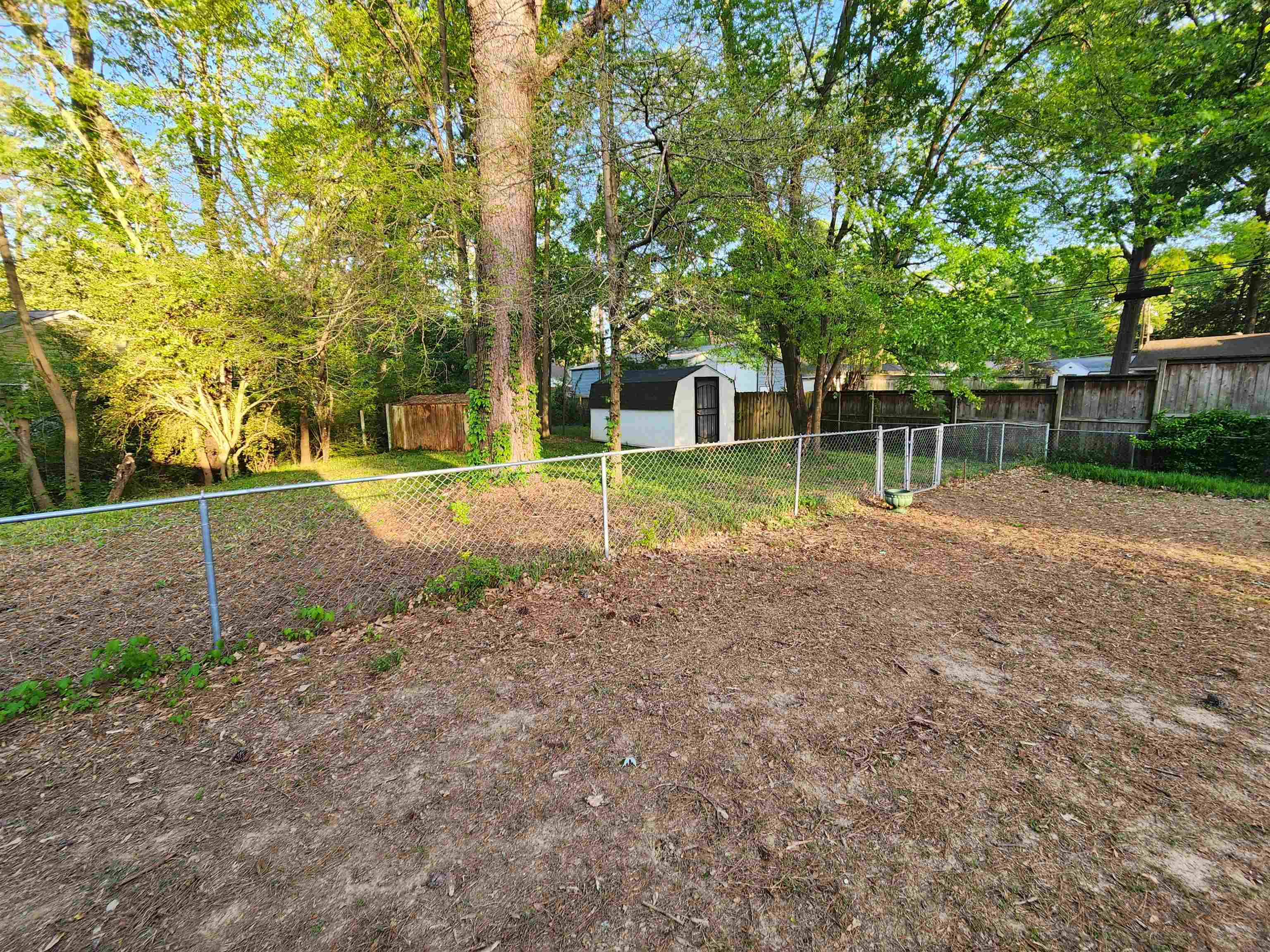 5259 Sequoia Road Memphis, TN 38120 - Photo 34 of 36 a backyard of a house with plants and large trees