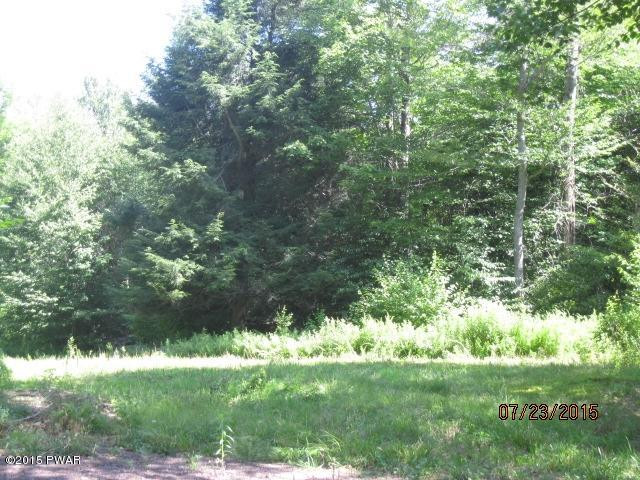 49 Heights Road Equinunk, PA 18417 - Photo 5 of 10 Gallery Image 5