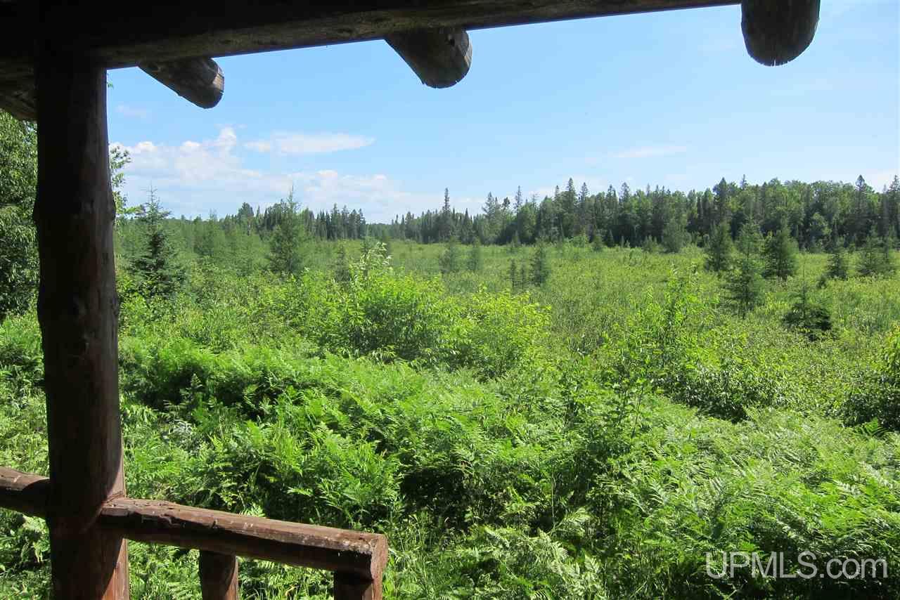 78-ac Lukes/shakey Lk Road Crystal Falls, MI 49920 - Photo 5 of 19