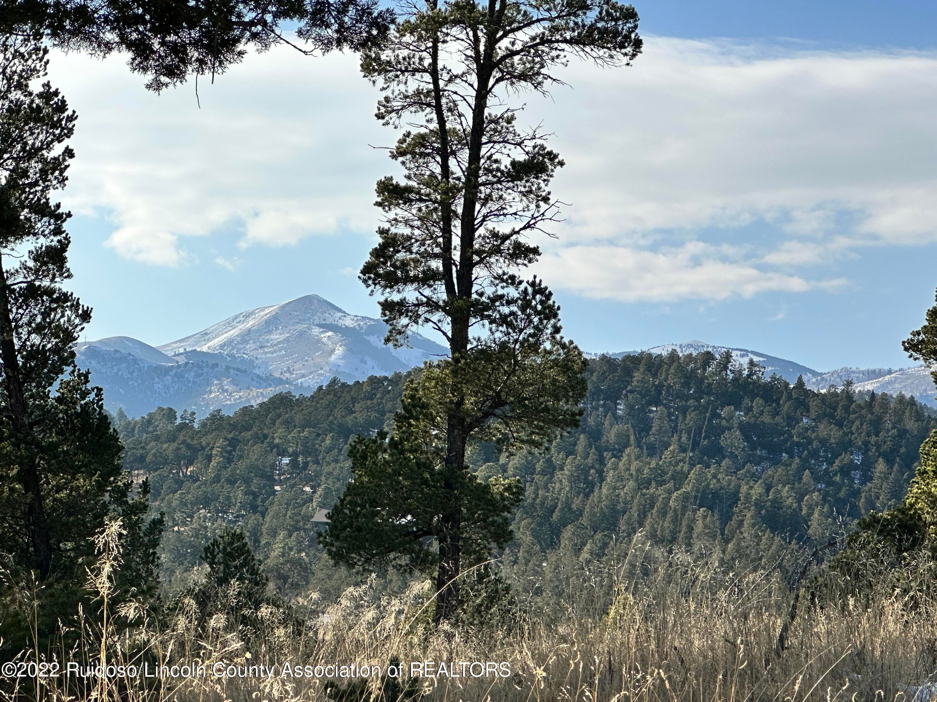 1421 Mechem Drive Ruidoso, NM 88345 - Photo 1 of 1 Gallery Image 1