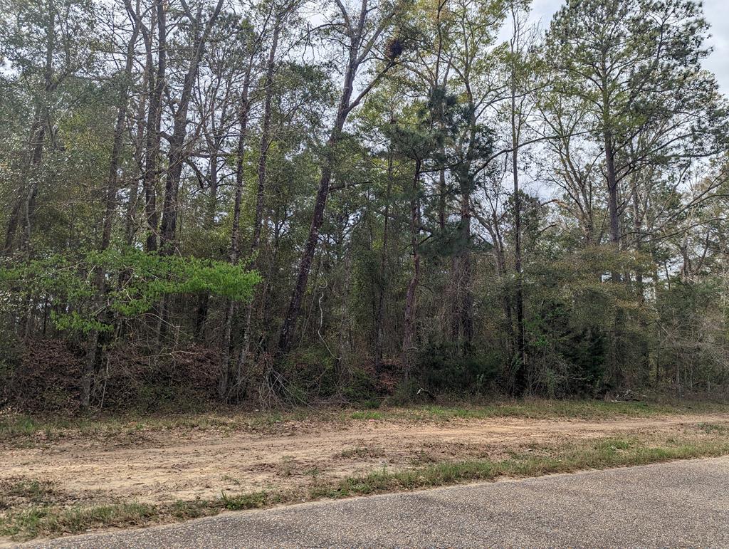 0 Womack Road Cottonwood, AL 36320 - Photo 1 of 2