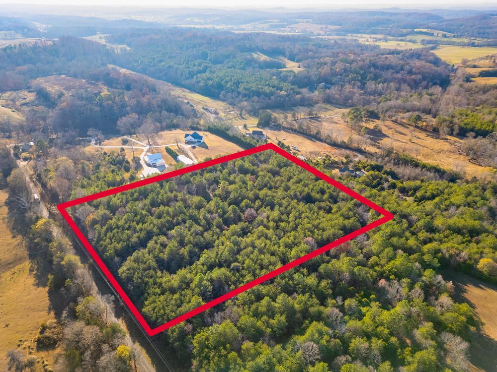 10-acres Northeast Morgan Road Charleston, TN 37310 - Photo 4 of 16 2023_11_November_0_Morgan_Rd_NE_0010