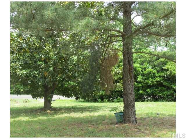 1923 Shaw Road Durham, NC 27704 - Photo 17 of 17 a view of a trees in a yard